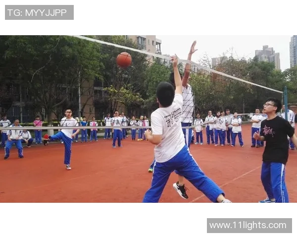 广州排球队的成长之路：一段激情与奋斗交织的排球纪实故事